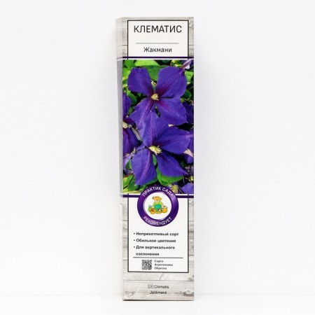 Clematis large -flowered "Jacqumani", 1 pc, tube, spring 2025