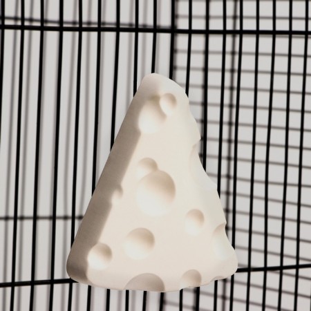 Mineral stone "Pigger" for rodents, cheese, 50 g-5