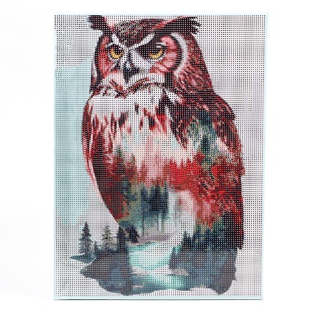 Diamond mosaic with a full filling on canvas with a subframe of “owl”, 30 x 40 cm-1