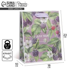 Package Gift Craft Vertical, packaging, “for you”, MS 18 x 23 x 8 cm