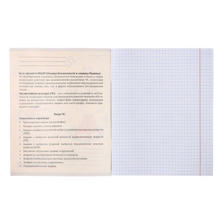 The subject of the objective "Capybara", 48 sheets in the cage "Obituse", the cover coated cardboard, embossing flax, an offset unit-1