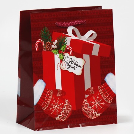 Laminated vertical package “For you”, S 12 x 15 x 5.5 cm, New Year-1