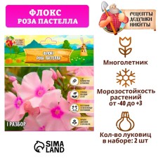 Флокс "Роза Пастелла" р-р I, 2 шт,