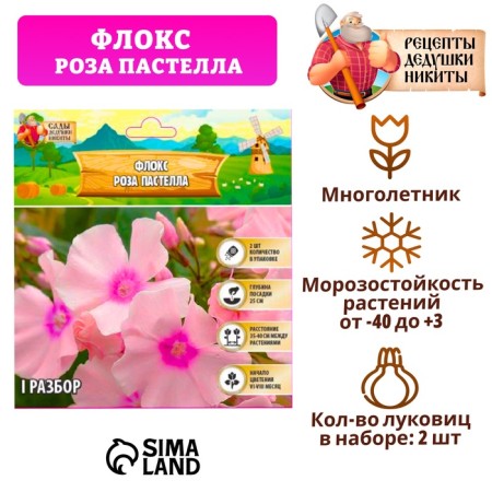 Flox "Rosa Pastella" rr I, 2 pcs,