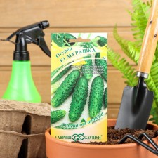 Cucumber seeds goosebump F1, cornishon, early -grown, parthenocarpic, 10 pcs.