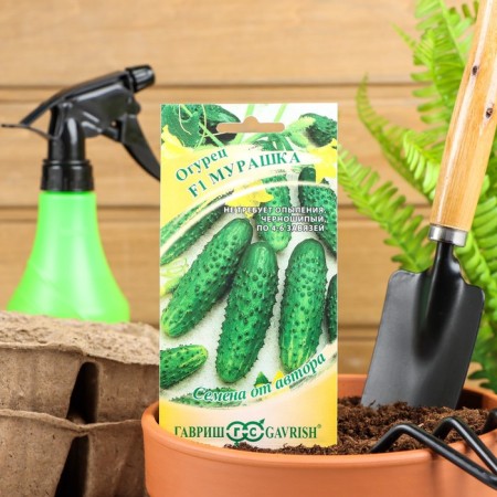 Cucumber seeds goosebump F1, cornishon, early -grown, parthenocarpic, 10 pcs.