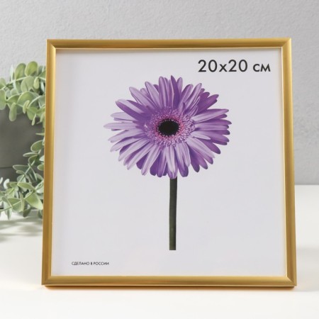 Photo frame plastic LIDA 20x20 cm gold