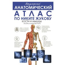 Popular anatomical atlas for Nikita Zhukov. Bones and muscles. Insights and interesting facts. Zhukov A.D.