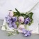 Bouquet "Rose Pionovid" 29 cm, mix