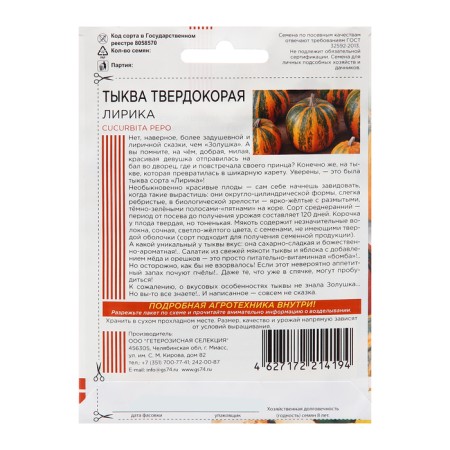 Seeds of pumpkin "Lyrics - hard -brown", 5 pcs-1