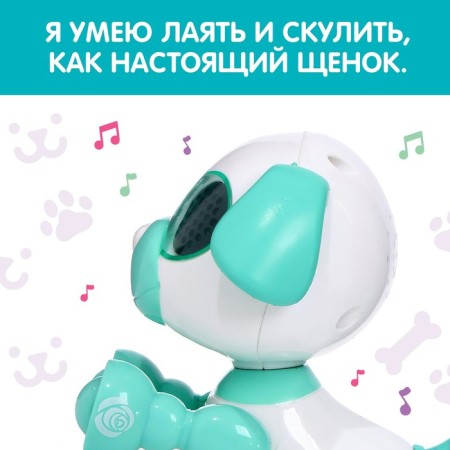 Robot Dog "Smart friend", interactive: with sound recording, light, sound, sensory, musical, batteries, turquoise-1