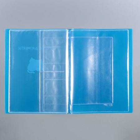 Feast for family documents "Cat" Blue color, 4 sets of documents, 19 pockets-1