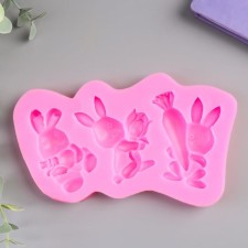 Mold Silicon 