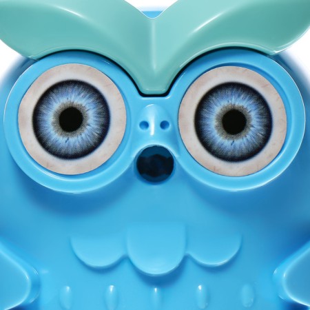 Mechanical sharpener with the container owl blue-18