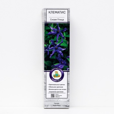 Clematis botanical "Bird", 1 pc, tube, spring 2024