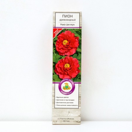 Pion tree pion (vaccinated for grassy) "New San Moon" 1 pc, tube, spring 2025