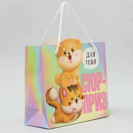 Gift package, packaging, "Surprise", 25 x 26 x 10 cm-1