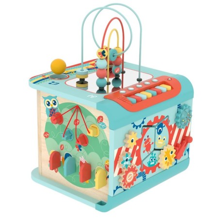 Biziborn Hape "Study and Explore"-5