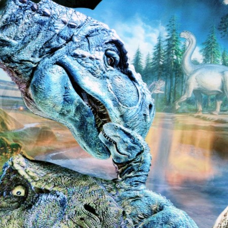Stick 3D interior dinosaurs 50*50cm-3