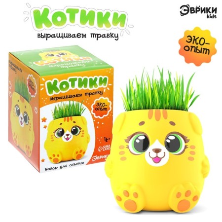 Set for experiments "Kotiki. We grow grass ", yellow pot