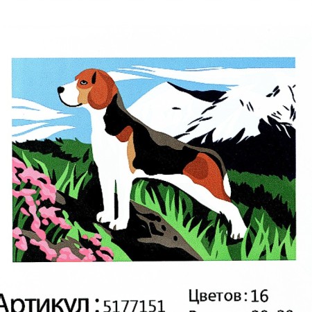 Picture on numbers on canvas with a subframe of Bigl in the Mountains, 30x20 cm-4