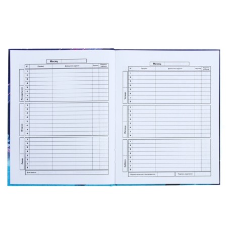 Universal Grade 1-11 Diary, 48 sheets "Magic World", hard cover, Soft Touch lamination, foil embossing, offset block-7
