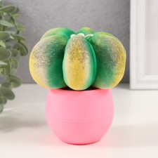 Growing gift Eco -Zhizhivchik 