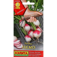 Seeds Radis 