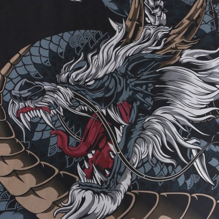 Bed linen Ethel 2 joint venture "Dragon" 175x215 cm, 200x220 cm, 70x70 cm - 2 pcs, calico-3
