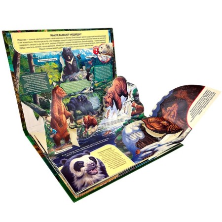 Encyclopedia "Predators" Book-Book, Pop Up-2