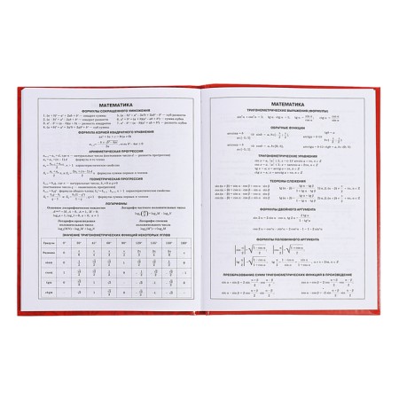 Diary for grades 5-11, 48 sheets of "Russian schoolchildren No. 3", solid cover, glossy lamination, block 60 g/m2-13