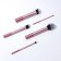 Charming makeup kit: brushes 5 pcs and sponge