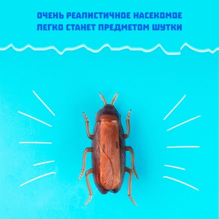 Taracan bug, works from batteries-7