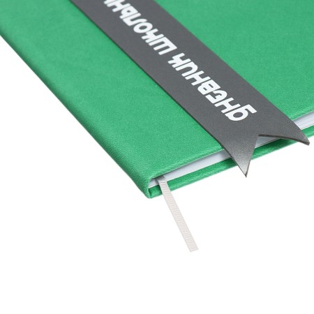 Universal diary for grades 1-11 Lenta, solid cover of artificial leather, applique, silkography, liesse, 48 sheets, green-2