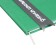 Universal diary for grades 1-11 Lenta, solid cover of artificial leather, applique, silkography, liesse, 48 sheets, green