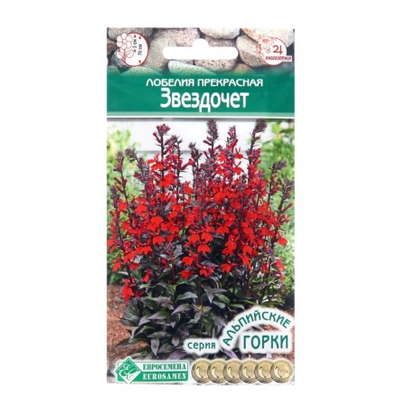 Lobelia seeds beautiful "star", 3 pcs