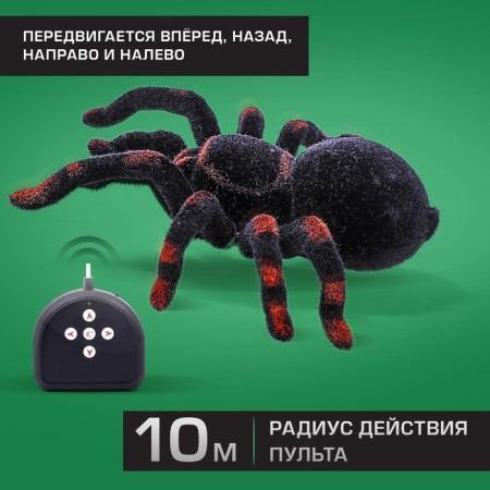 Radio -controlled spider "Tarantula", works on batteries, lighting effects-2