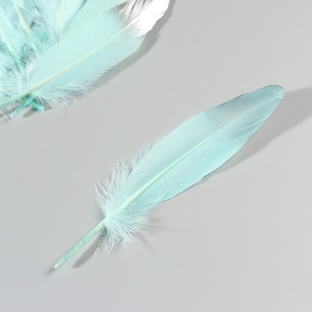 A set of goose feathers 15-20 cm, 10 pcs, mint with silver-3