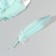 A set of goose feathers 15-20 cm, 10 pcs, mint with silver