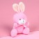 Soft toy "You are like the first date", Bunny, Mix color