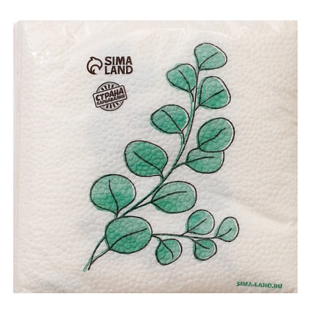 Napkins single -layer "eco" eucalyptus 24x24 cm, set of 20 pcs.-2