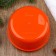 Lanch-Box "Homa", 150 ml