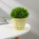 Pot for flowers with the Podon "Noble", 450 ml, d = 11 cm, yellow color