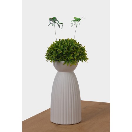 Set of plugs "Frog and grasshopper", 3.5/4 cm-3
