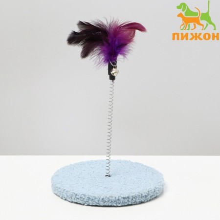 Disciplier based on "Festival", 15 cm, dark purple/light blue