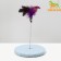 Disciplier based on "Festival", 15 cm, dark purple/light blue