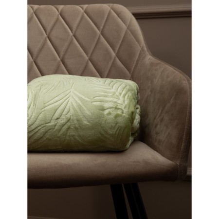 Texrepublic blanket, size 200x220 cm, green color-2