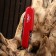 Swiss knife "Master K" 6B1, red