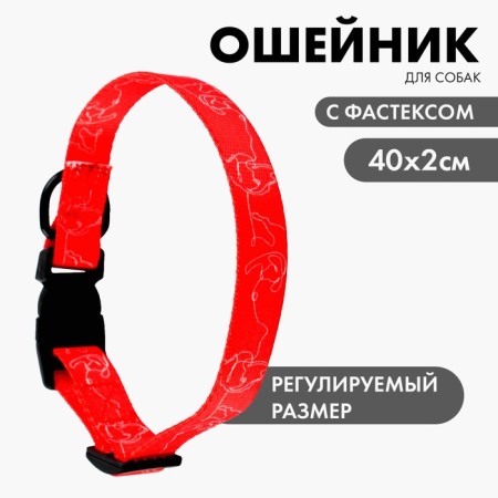 Collar One Line, fastener - fastx, 2 cm 25-40 cm