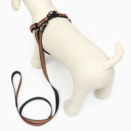 The ammunition set is reflective, size m, og 40-70 cm, sling 2 cm, orange-2